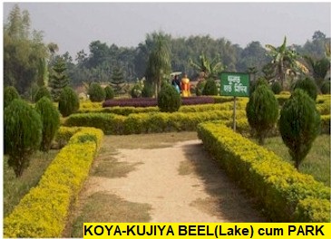 Koyakujiya Beel(Lake)