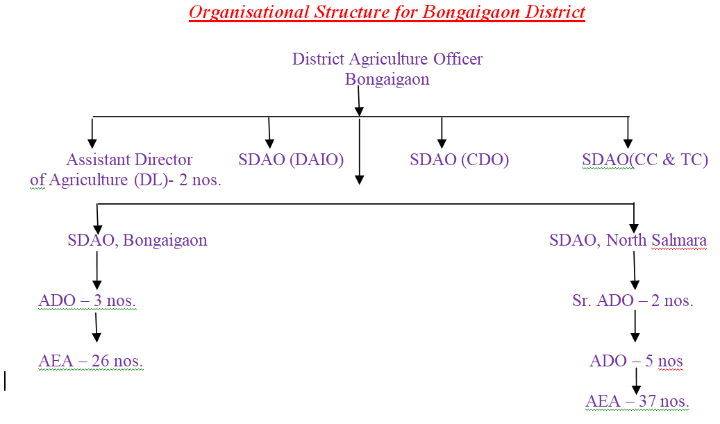 orgstruc