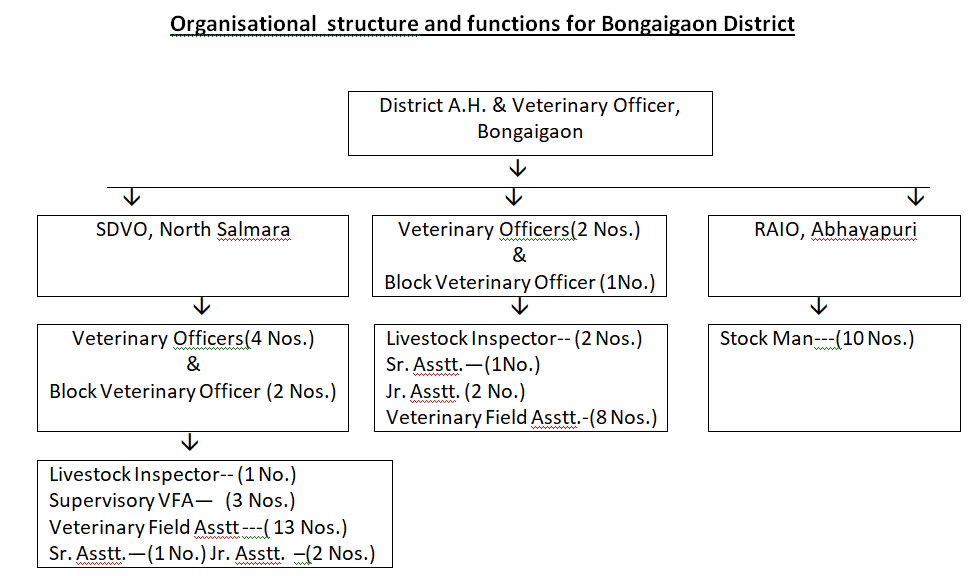 orgstructure